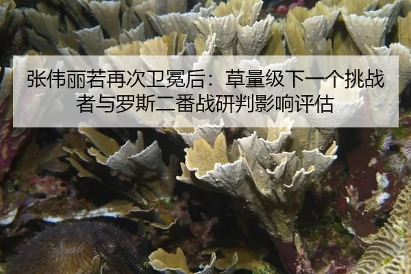 zhang-wei-li-ruo-zai-ci-wei-mian-hou-cao-liang-ji-xia-yi-ge-tiao-zhan-zhe-yu-luo-si-er-fan-zhan-yan-pan-ying-xiang-ping-2-170.jpg